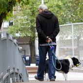 La forma correcta de pasear a tu perro y evitar una multa con la Ley de Bienestar Animal