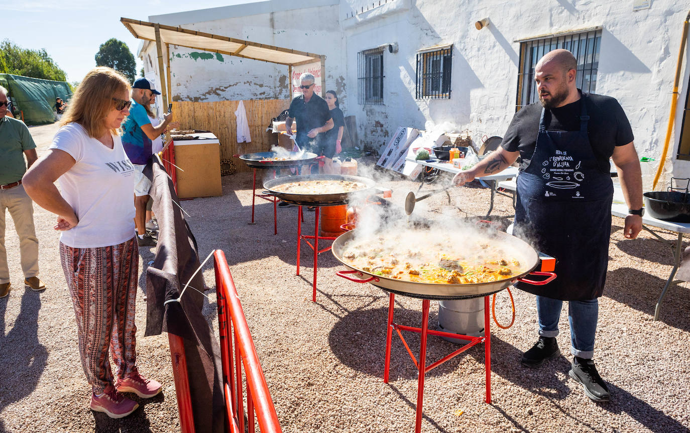 Festa de la Sega en el Puerto de Catarroja