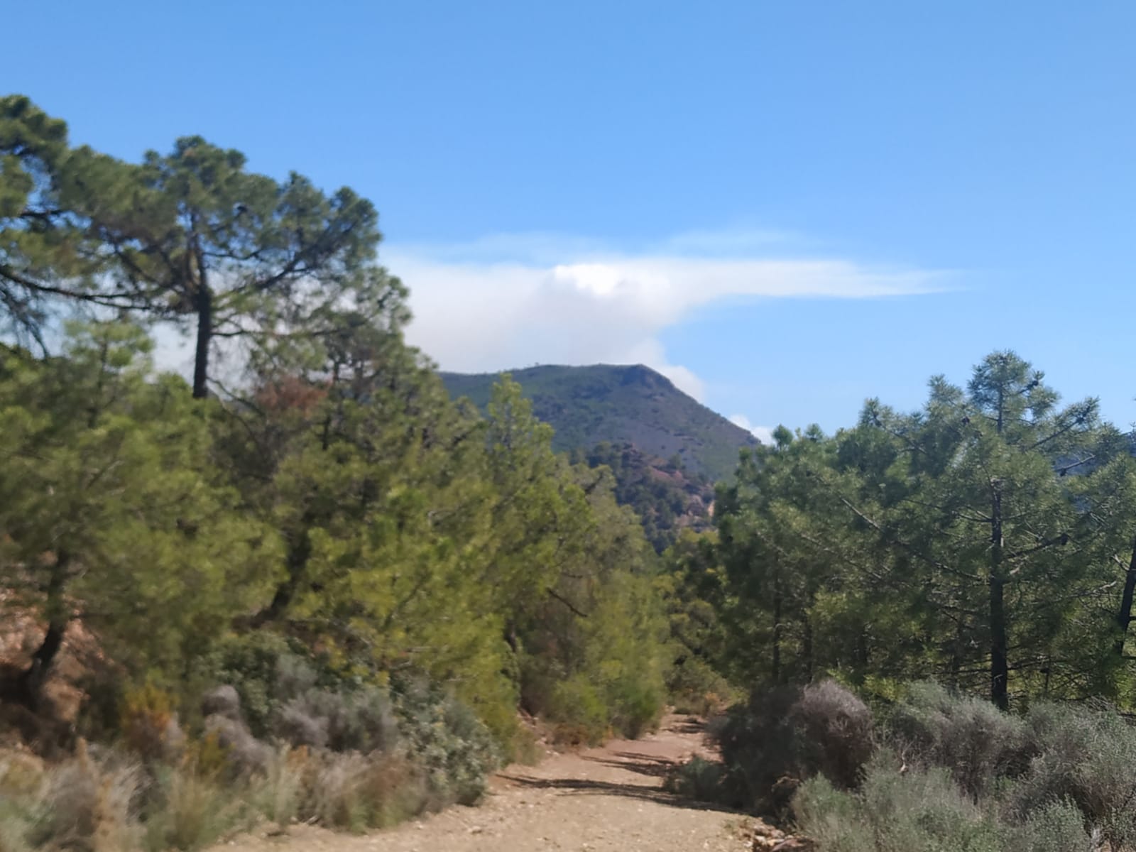 Fotos del incendio junto al monte Picayo, en la Sierra Calderona de Valencia