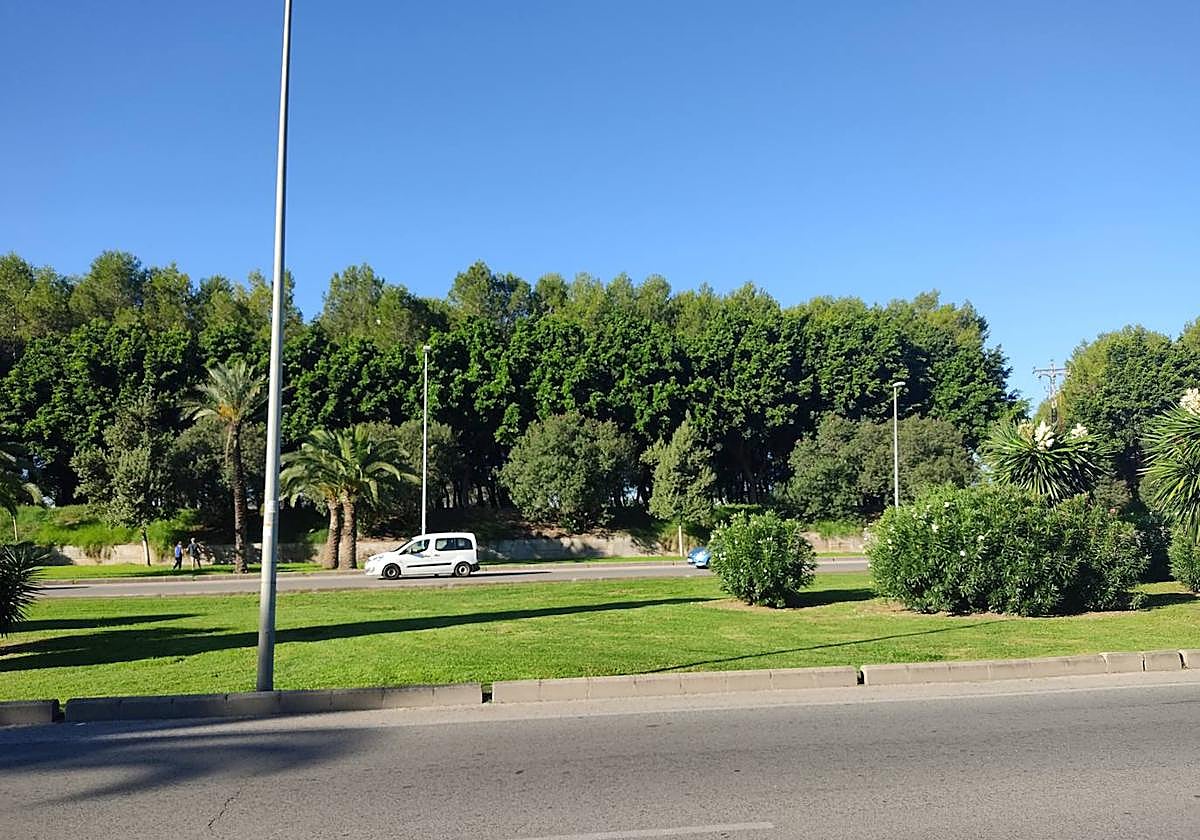 Zona dónde se creará un paso de peatones.