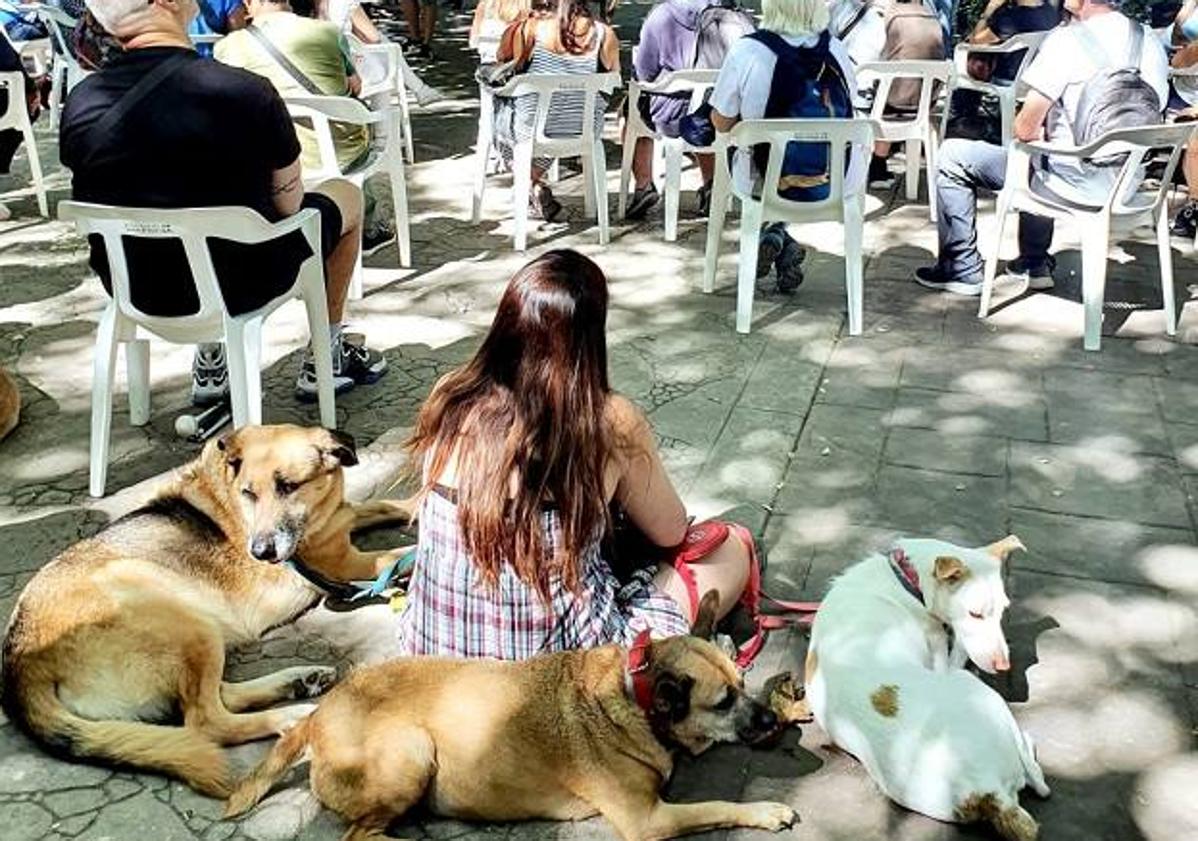 Imagen principal - Feria Animal en el Jardín del Turia