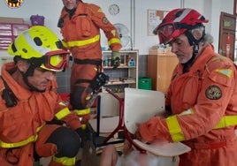 Bomberos de Gandia durante el rescate al escolar de dos años.