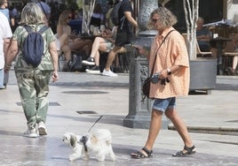 Una mujer pasea con su perro.