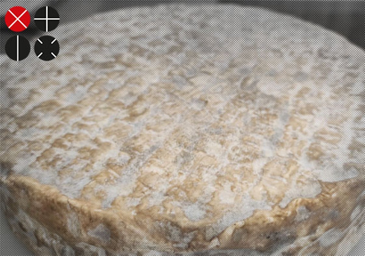 Cómo elaborar el mejor queso valenciano con sólo cuatro años de vida | las provincias