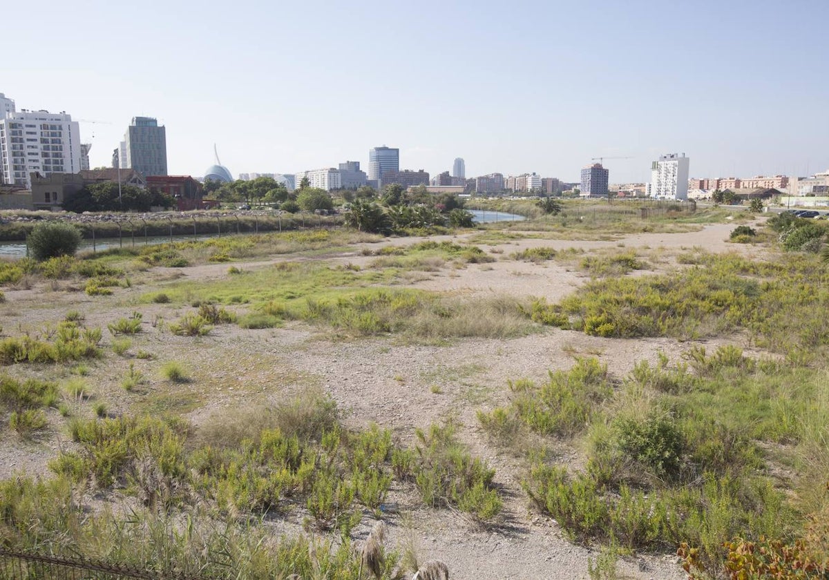 Parte de los terrenos donde debe construirse el Parque de Desembocadura.