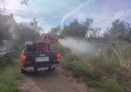 Intensifican los tratamientos contra los mosquitos en Sagunto