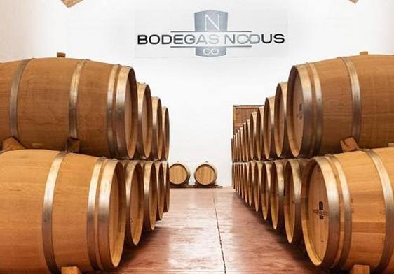 Sala barricas en Bodegas Nodus