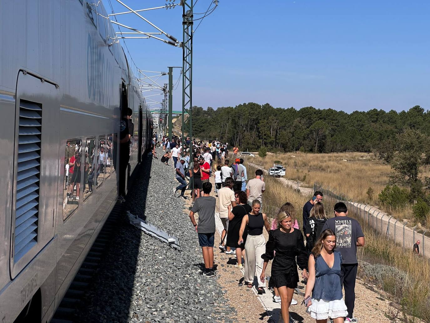 Una avería en la catenaria interrumpe la circulación de la alta velocidad entre Valencia, Alicante y Madrid