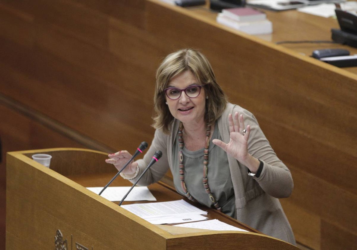 Alicia de Miguel, en su etapa de diputada en Les Corts.