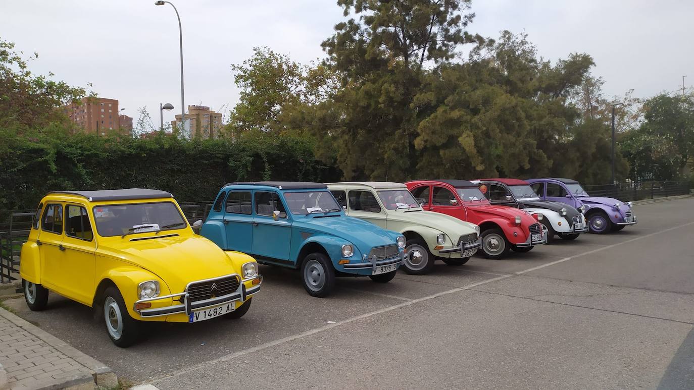 El Club Citroën 2 CV celebró su 75 aniversario en Valencia