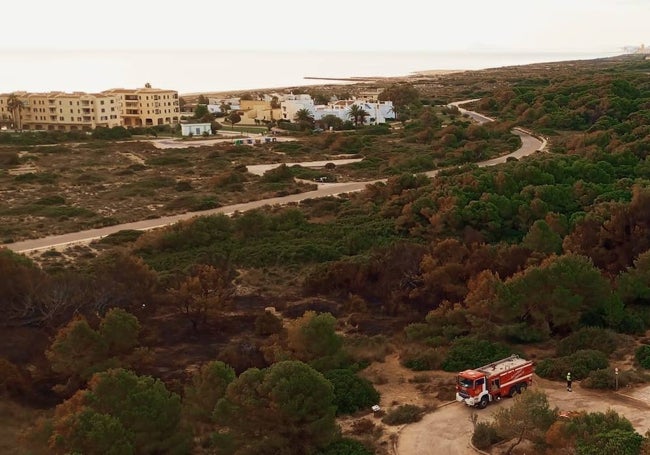 Zona afectada por el incendio, en la Devesa de El Saler de Valencia.