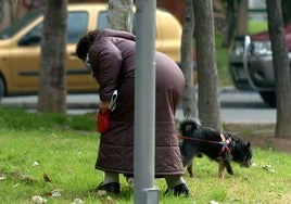 Una señora recoge los excrementos de su perro.