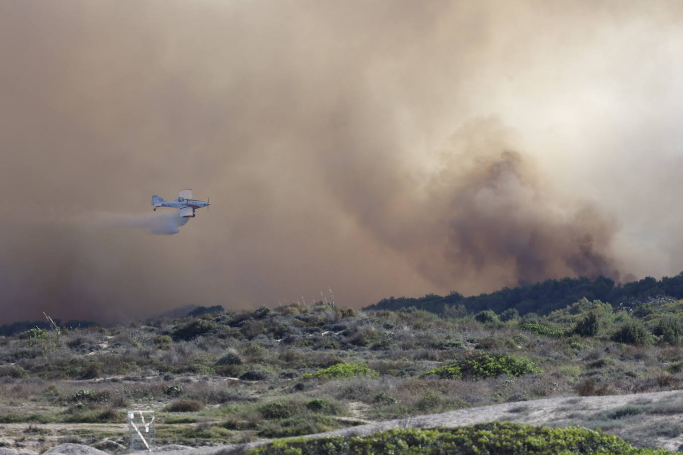 Declarado un nuevo incendio en El Saler, el segundo en menos de 24 horas