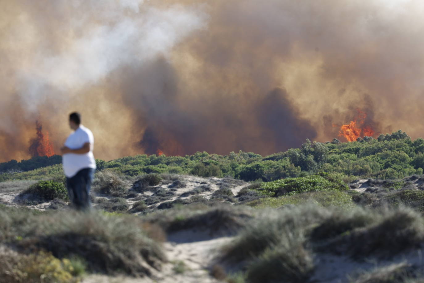 Declarado un nuevo incendio en El Saler, el segundo en menos de 24 horas