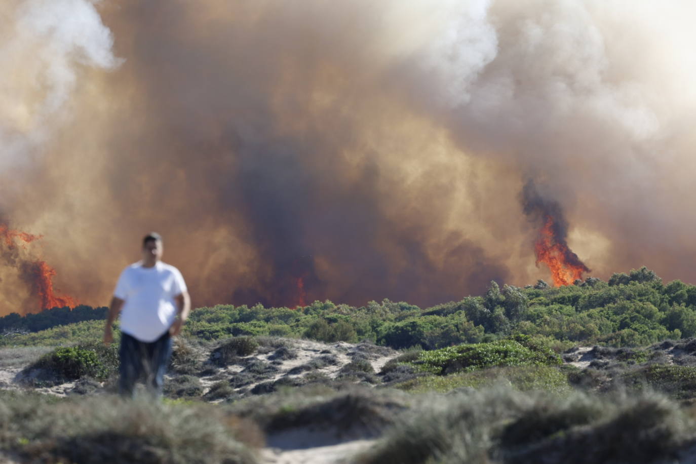 Declarado un nuevo incendio en El Saler, el segundo en menos de 24 horas