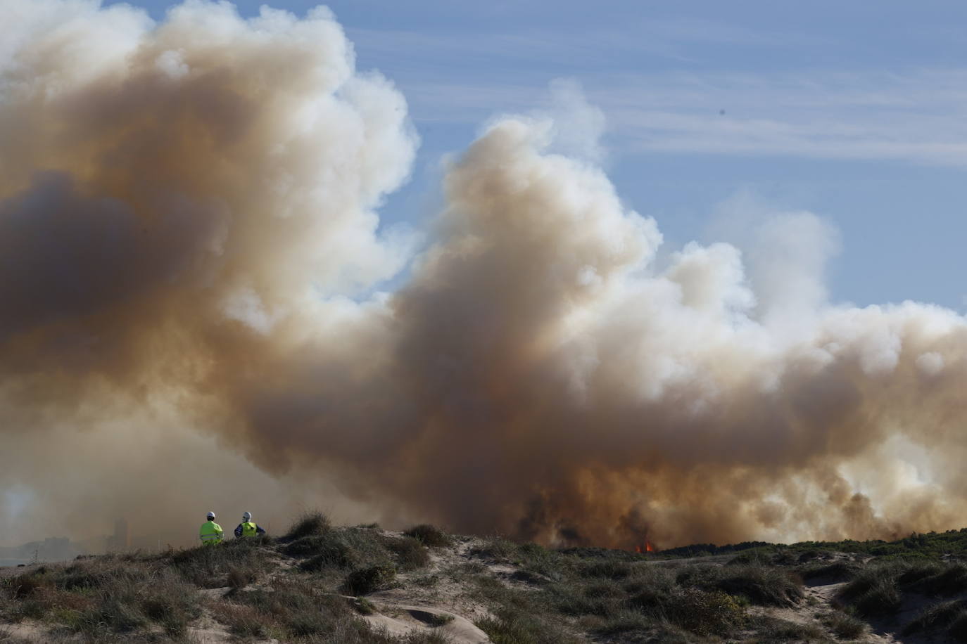 Declarado un nuevo incendio en El Saler, el segundo en menos de 24 horas