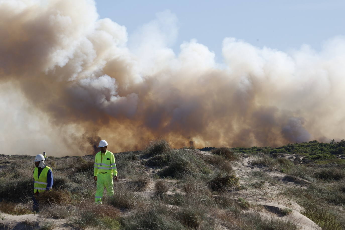 Declarado un nuevo incendio en El Saler, el segundo en menos de 24 horas