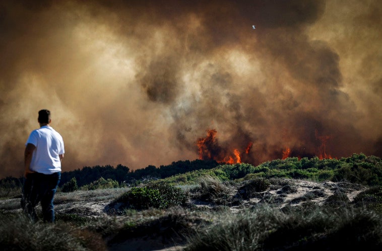 Última Hora Incendio El Saler La Guardia Civil Mantiene Abiertas Dos Investigaciones Para Dar 0891