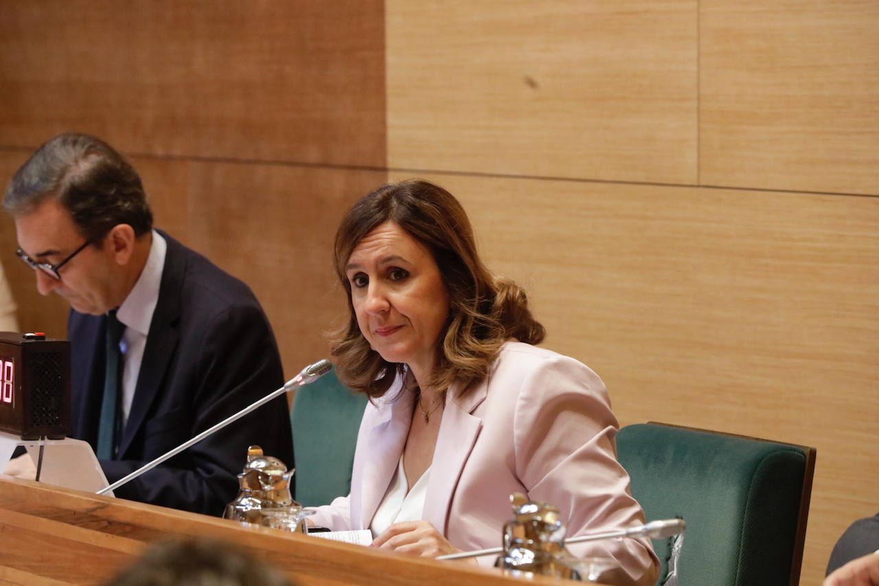 El primer pleno de Valencia tras el pacto PP-Vox en imágenes