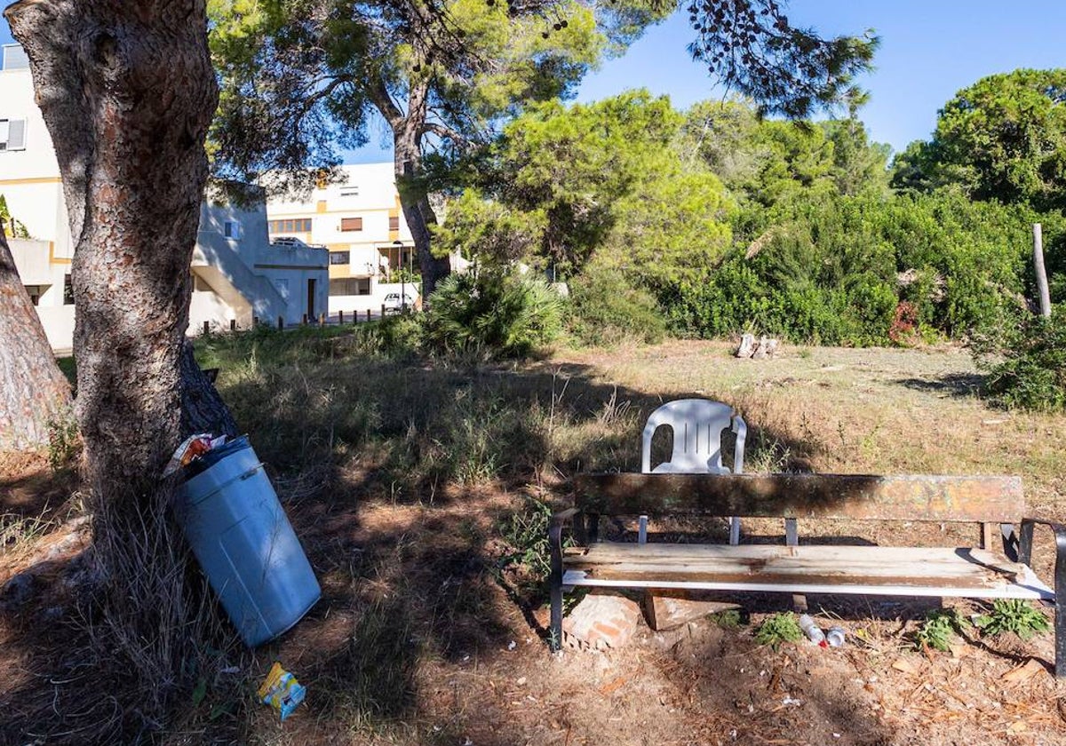 Botes de bebida, restos de comida y silla abandonada en la Devesa de El Saler.