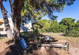 Botes de bebida, restos de comida y silla abandonada en la Devesa de El Saler.