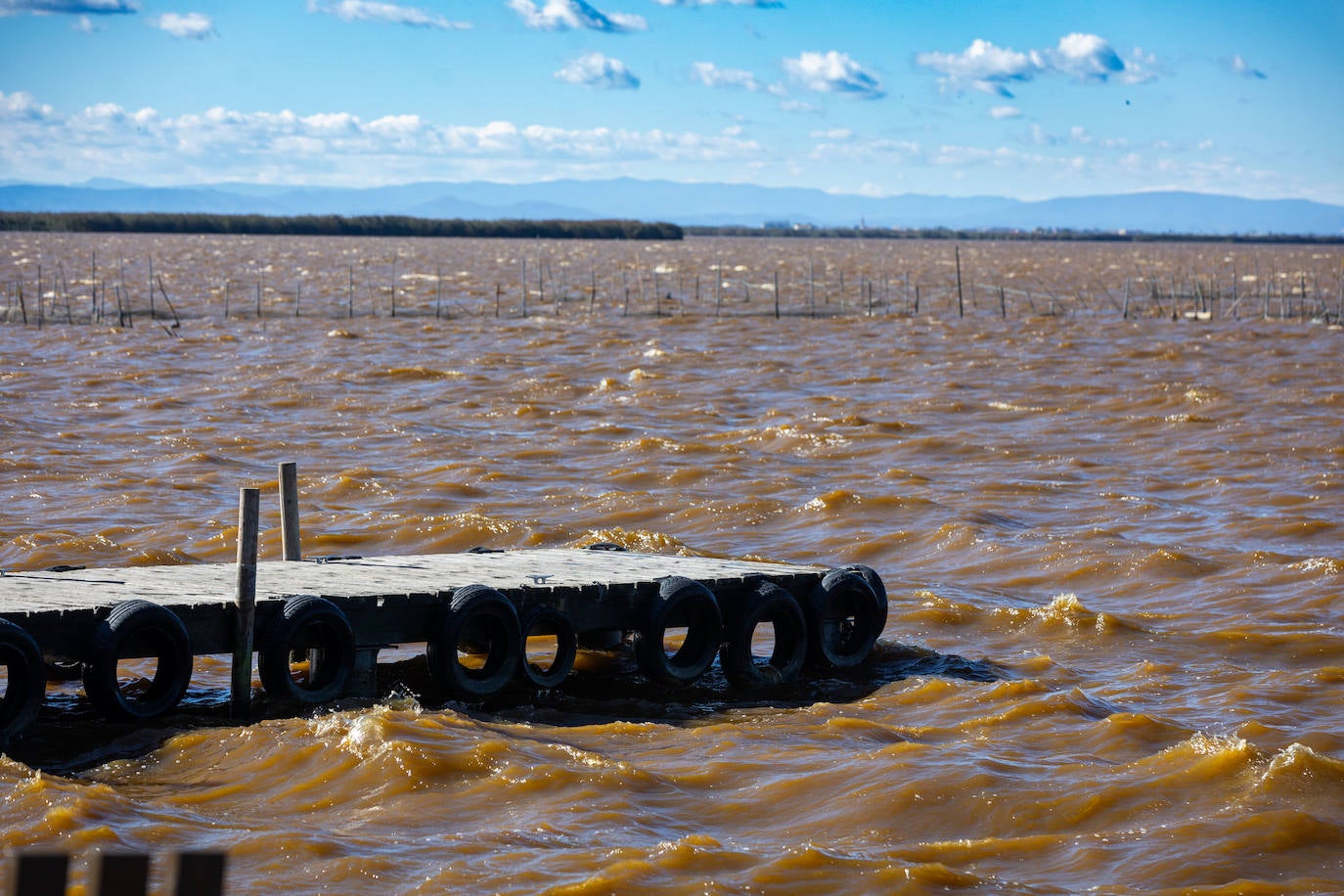 El agua de la Albufera de Valencia se vuelve marrón