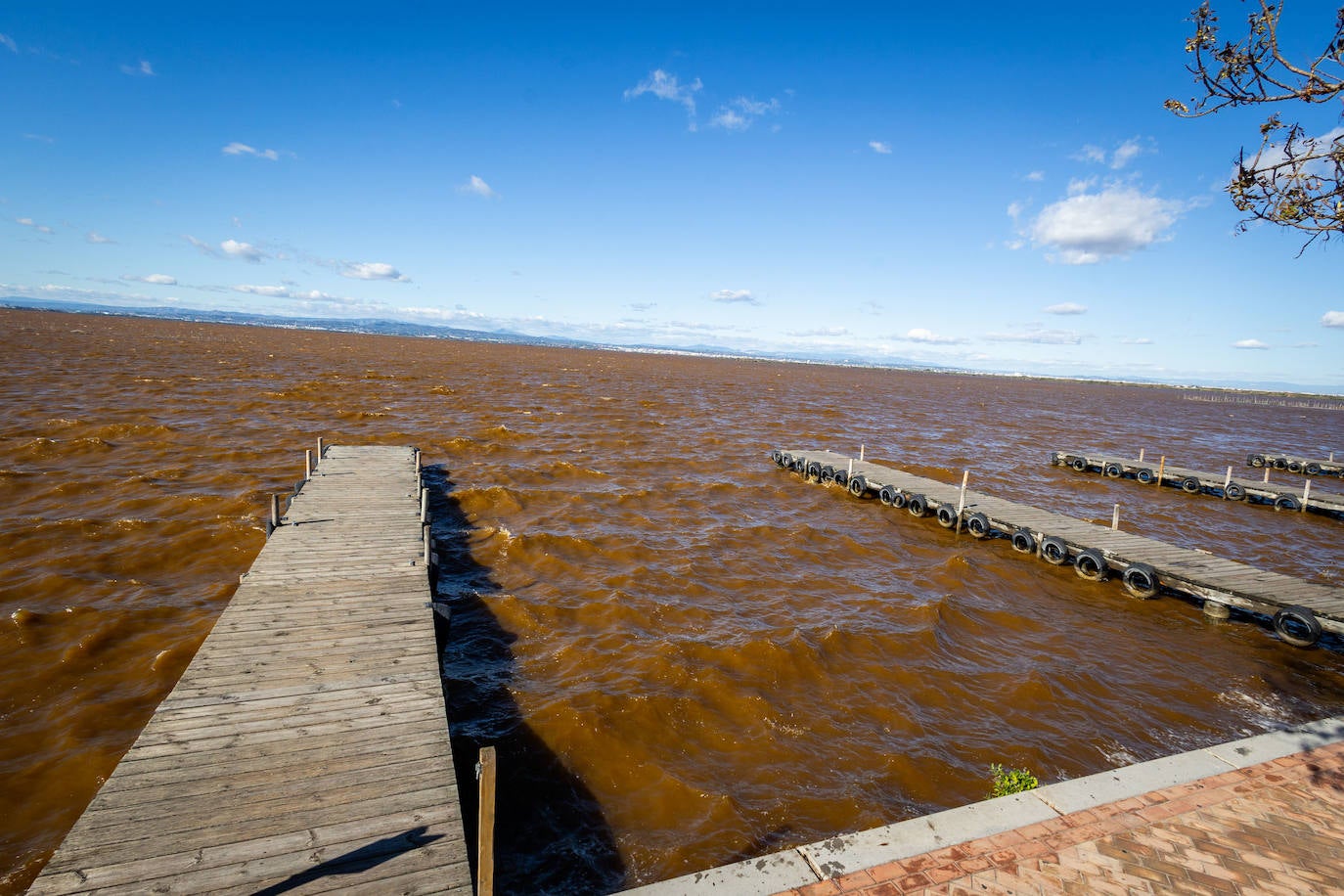 El agua de la Albufera de Valencia se vuelve marrón