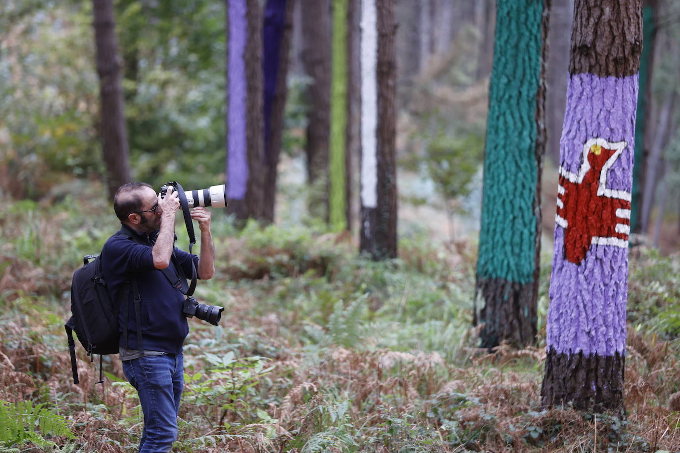 El bosque encantado de Oma se salva