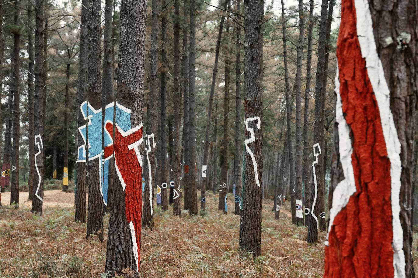 El bosque encantado de Oma se salva
