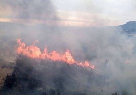 Las llamas en su máximo apogeo en el incendio de Benissa.