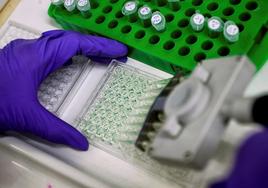 Un científico prepara muestras de proteínas para su análisis en un laboratorio, en una imagen de archivo.