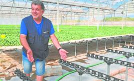 El semillero mejora la calidad de las plantas con soportes para bandejas