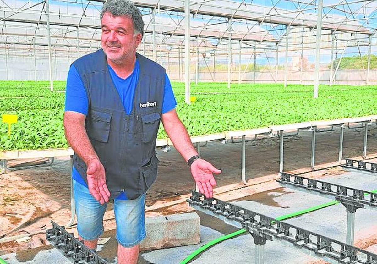 El semillero mejora la calidad de las plantas con soportes para bandejas