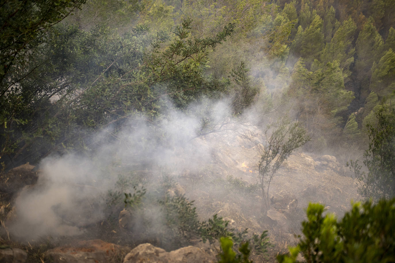 El incendio forestal de Montitxelvo, en imágenes