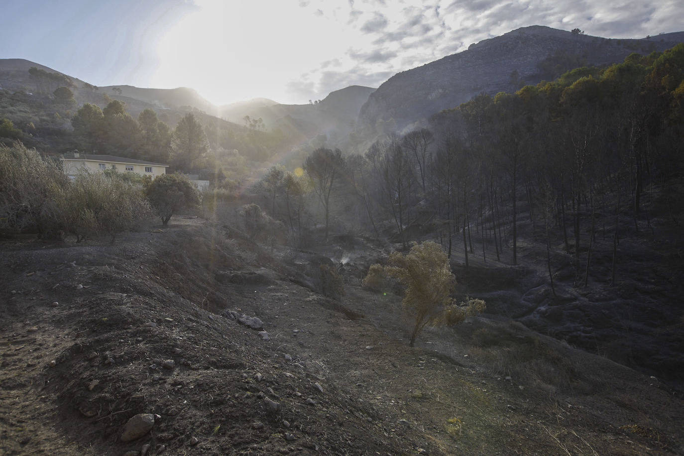 El incendio forestal de Montitxelvo, en imágenes