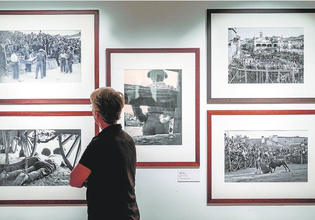 Sala de la exposición en el Museo Manuel González Martí.