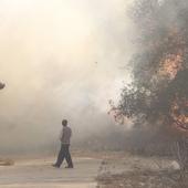 DIRECTO | Última hora del temporal de viento e incendios en la Comunitat