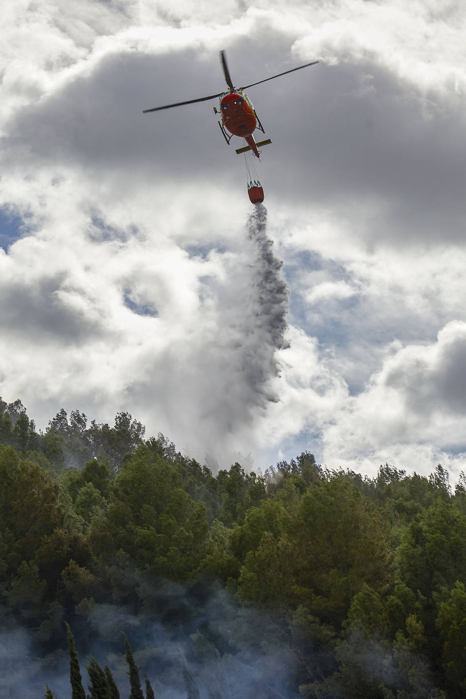 El incendio forestal de Montitxelvo, en imágenes