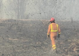 Un miembro del Consorcio de Bomberos camina sobre un tramo de monte arrasado por el fuego que comenzó en Montitxelvo.