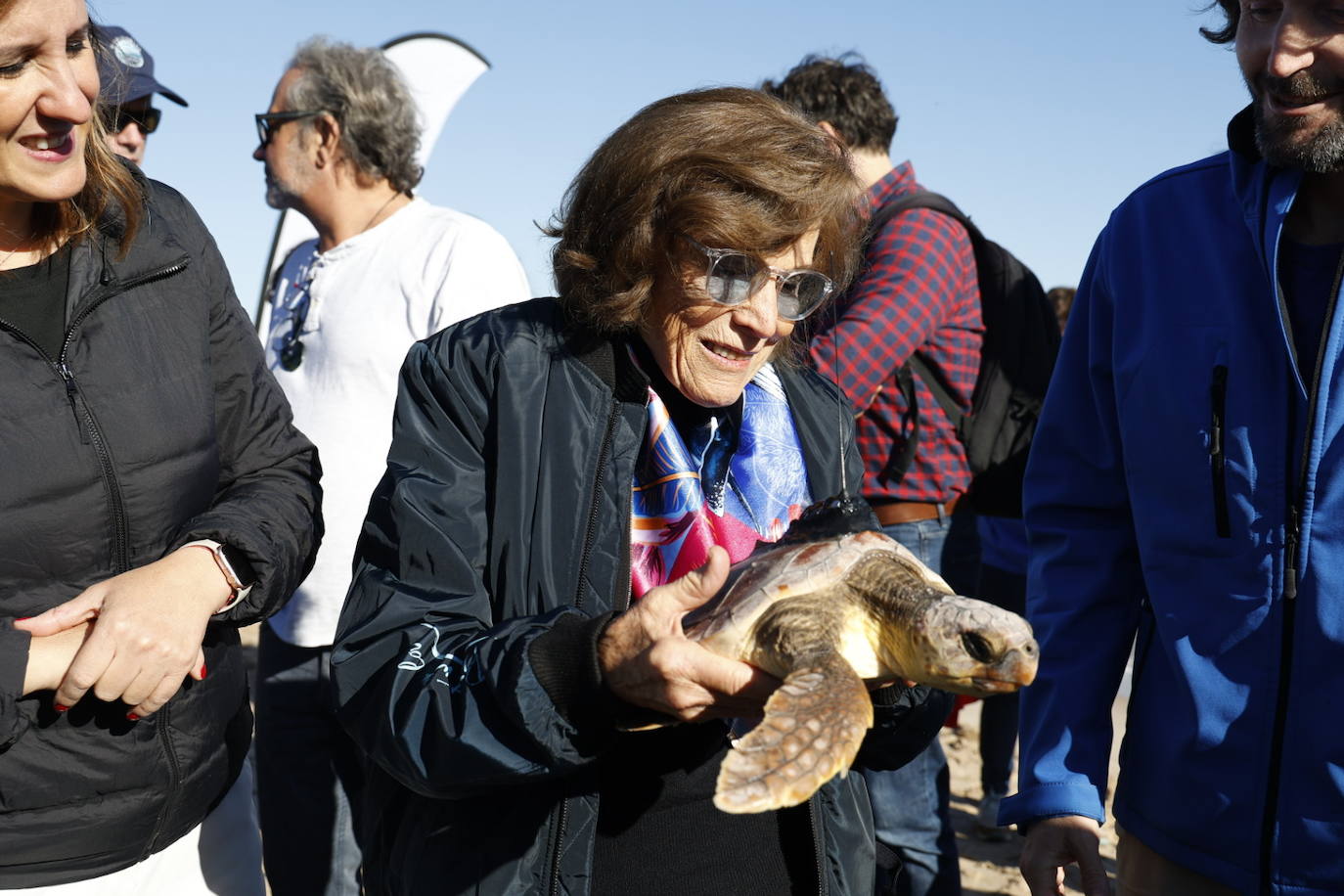 La tortuga marina recuperada en l&#039;Oceanogràfic vuelve al mar en el Saler