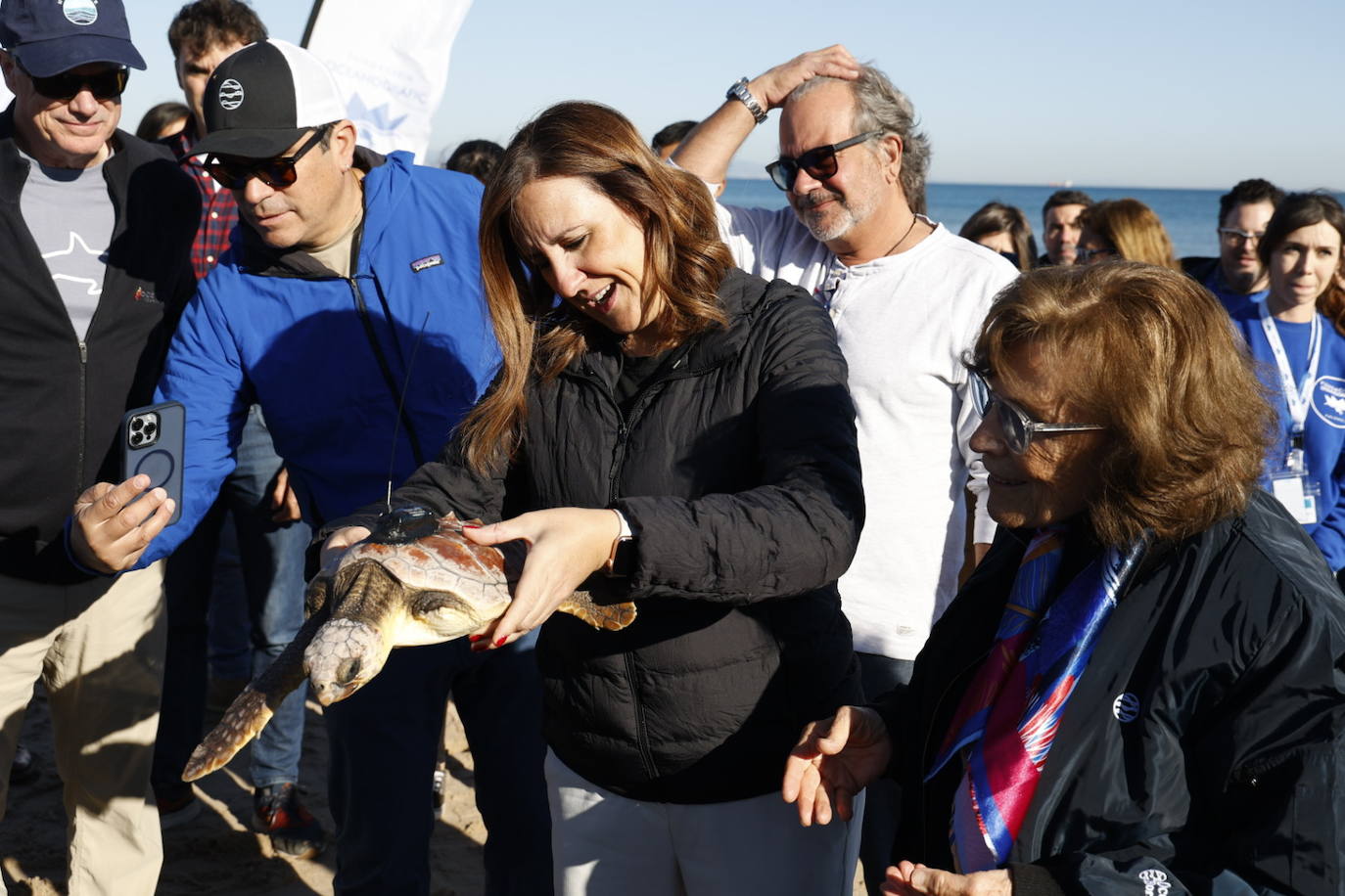 La tortuga marina recuperada en l&#039;Oceanogràfic vuelve al mar en el Saler