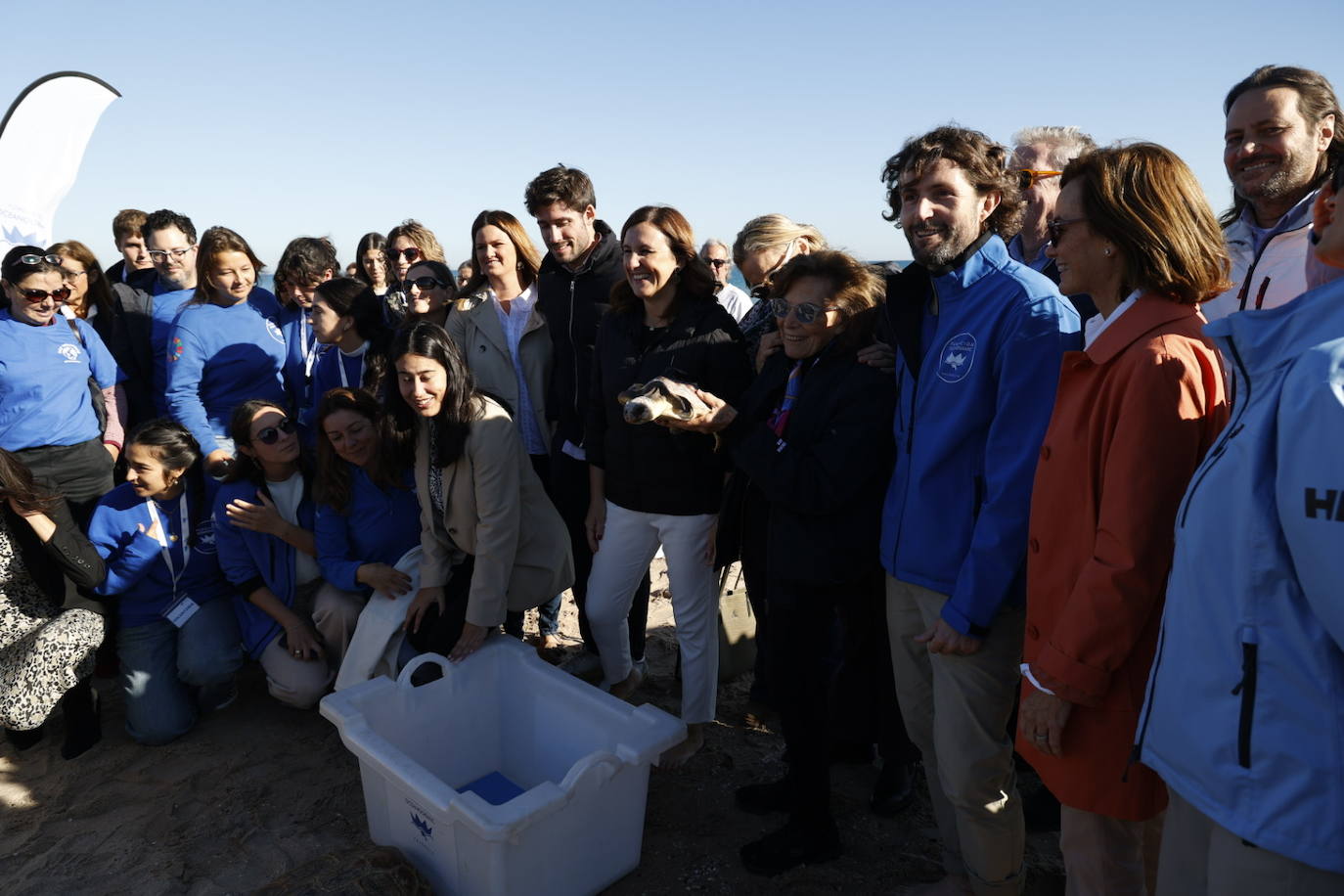 La tortuga marina recuperada en l&#039;Oceanogràfic vuelve al mar en el Saler