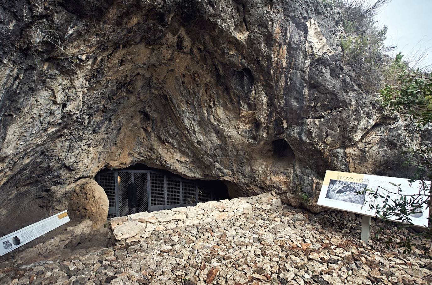 Cova de L'or en Beniarrés.