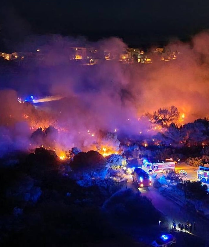 Imagen secundaria 2 - Restos de una tortuga y de una serpiente e imagen de uno de los incendios de la Devesa.