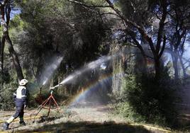 Los bomberos extinguen uno de los incendios de El Saler.