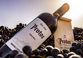 Protos Crianza 2019, el vino perfecto para el otoño