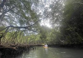 Un paraje natural en República Domincana.