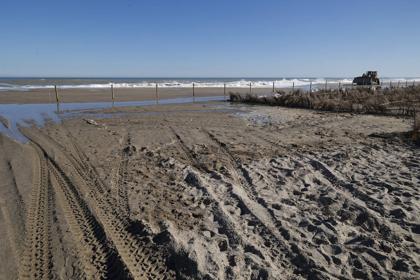 El mar entra en las nuevas dunas de las playas regeneradas en El Saler