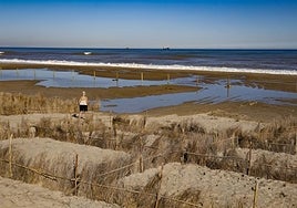 El agua roza las dunas artificiales de El Saler, este jueves.