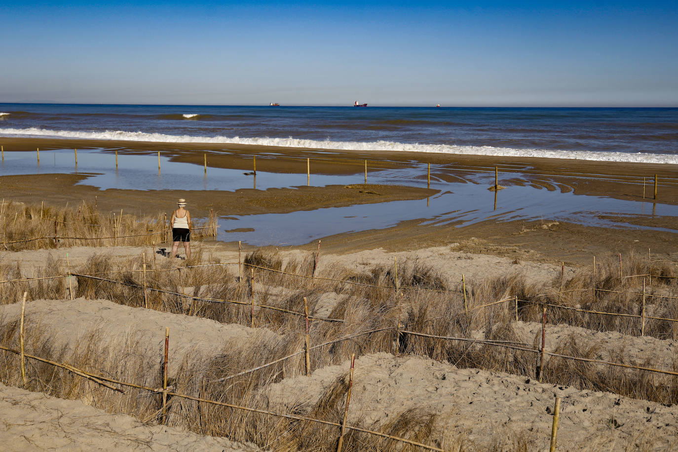 El mar entra en las nuevas dunas de las playas regeneradas en El Saler